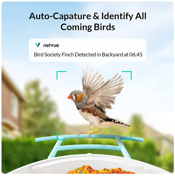 Bird Feeder with Camera